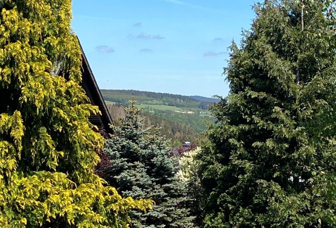 Ferienwohnung Kleine Auszeit Winterberg Fuer 2- 4 Personen Екстер'єр фото